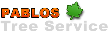 Pablos Tree Service Marietta, GA | Marietta Commercial and Residential Tree Removal, Stump Grinding & Removal